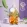 1500px-tpl-landing-natural-ingredients768_768fit.webp 1500px-tpl-landing-natural-ingredients768_768fit.webp